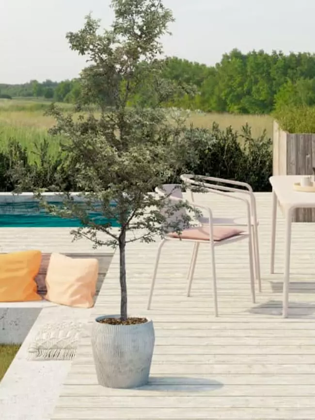 Terrasse mit hellen Terrassendielen